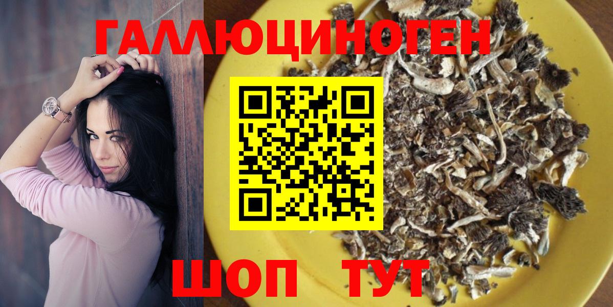 Псилоцибиновые грибы Psilocybine cubensis  Вход с VPN  Гуково 